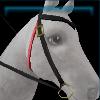 Speckled western bridle