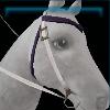Star spangled western bridle