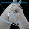 Ice blue western bridle