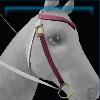 White Japanese western bridle