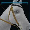 Yellow Fall western bridle