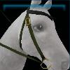 Green Fall western bridle
