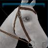 Celtic expedition western bridle