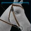 Adventurer western bridle