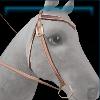 Pink designer western bridle