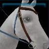 Sporty blue western bridle