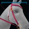 Exclusive pink Spring western bridle