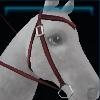 Red team western bridle