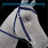 Blue team western bridle