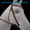 Brown shabby-chic western bridle