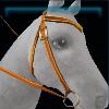 Orange designer western bridle