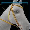 Yellow designer western bridle