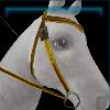 Yellow adventurer western bridle