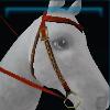 Red Jarla western bridle