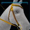 Yellow Jarla western bridle