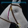 Colorful Easter western bridle