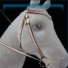 White Bobcats western bridle