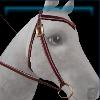 Pink Bobcats western bridle