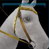 Yellow riding instructor's western bridle