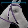 Purple riding instructor's western bridle