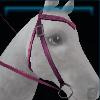 Pink riding instructor's western bridle