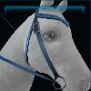Blue riding instructor's western bridle