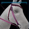 Cerise leopard western bridle