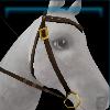 Brown standard western bridle