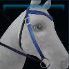 Blue Hillcrest western bridle