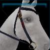Blue frost western bridle