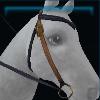 Blue frost western bridle