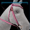 Pink Valentine's Day western bridle