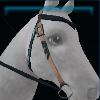Speckled western bridle