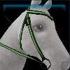 Green Fortuna western bridle