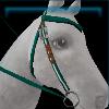 White and green parade western bridle