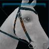 Blue fisherman western bridle