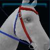 Blue and red training western bridle