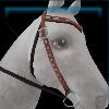 Trendy equestrian western bridle