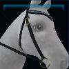 Snowflake western bridle