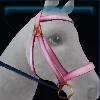 Pink Valentine bridle