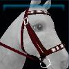 Diamond studded bridle