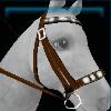 Shiny bridle