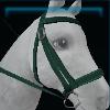 Moss green bridle