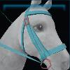 Candy bridle