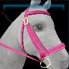 Pink bridle