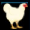A chicken