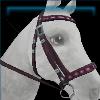 Birthday bridle