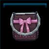Birthday Saddlebag
