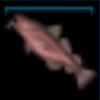 Cod