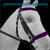 Bewitching Halloween bridle